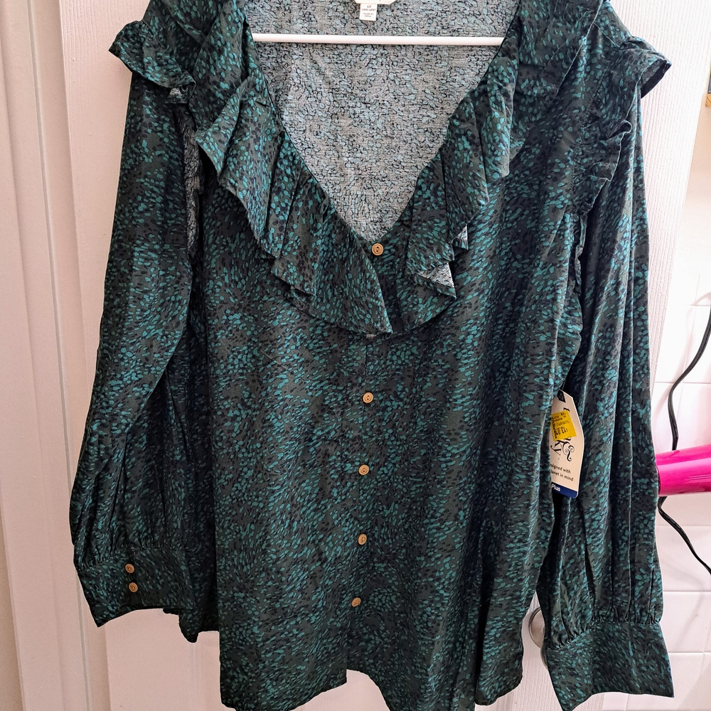 Terra & Sky Green Ruffled Buttoned Blouse